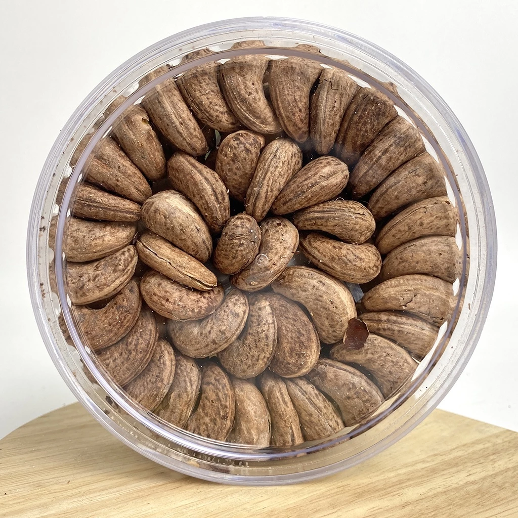 500Gram - (Hộp tròn xếp hoa) Hạt điều rang muối, hàng A Cồ, to đều, nguyên hạt - Hạt dinh dưỡng