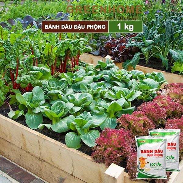 Phân Bón Hữu Cơ Bánh Dầu Đậu Phộng  Đã Xử Lý 100% Từ Thiên Nhiên 1KG Trồng Rau, Cây Cảnh