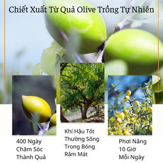 Dầu Olive Dưỡng Tóc Tạo Kiểu Giữ Nếp Lâu Dài Nuôi Tóc Chắc Khỏe Suôn Mượt Ngăn Ngừa Gãy Rụng
