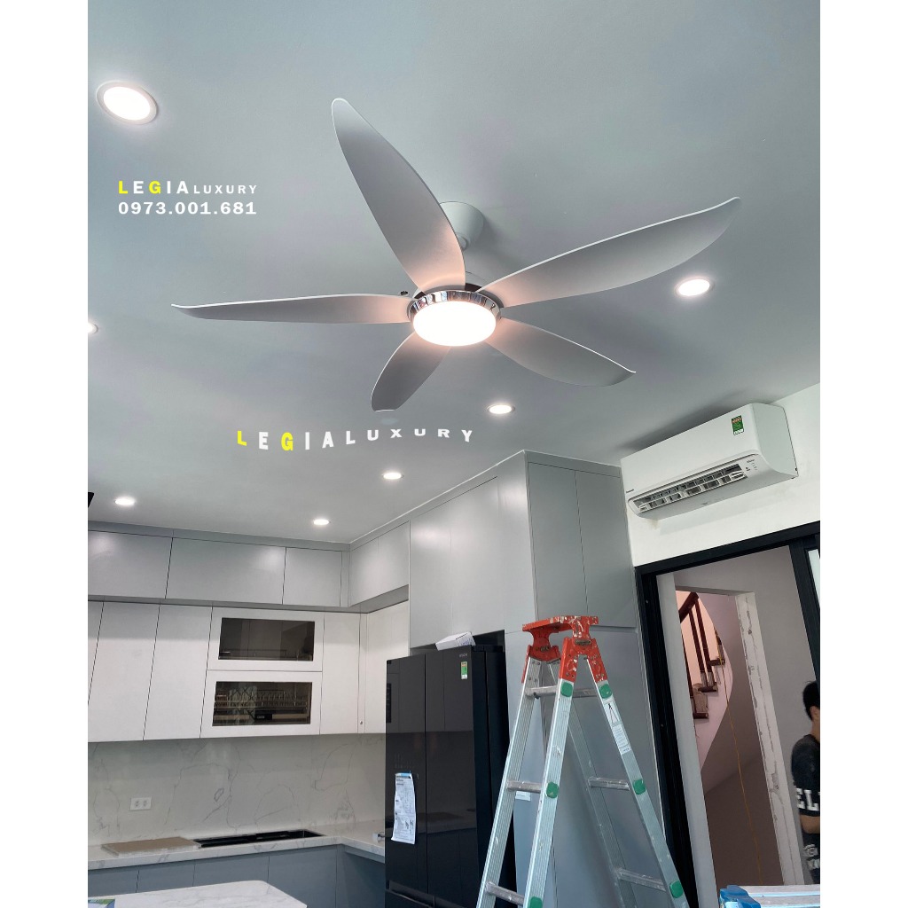 Ảnh Quạt Trần Đẹp | Quạt Trần Đèn Gió Mạnh LGFAN669 | Quạt Trần Chung Cư Cổ Ngắn 25cm 2