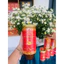 Nấm đông trùng hạ thảo Hoài Anh khô sấy thăng hoa (50gr)Gãy - Nuôi trồng 100% Organic