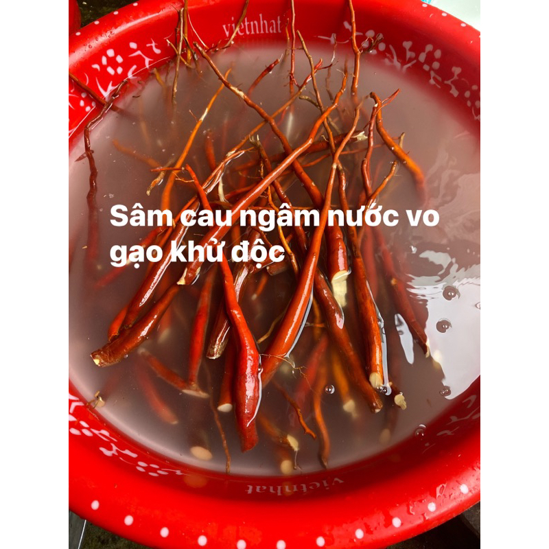 Sâm cau đỏ tươi rừng Tây Bắc – Củ dài đỏ -Già Thơm 1 kg