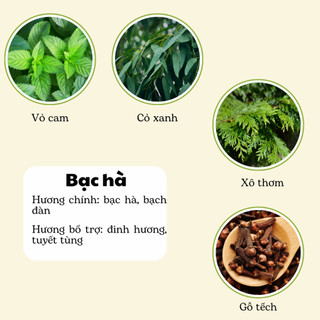 Nến Thơm Phòng Handmade - Nến Thơm Không Khói Hương Bạc Hà Sáp Thực Vật Lành Tính - Nến Thơm Quà Tặng - Cát Candle