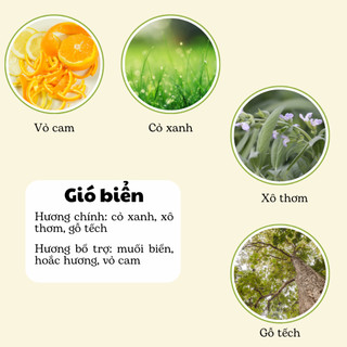 Nến Thơm Phòng Không Khói - Nến Thơm Handmade Gió Biển Sáp Thực Vật Lành Tính - Nến Thơm Quà Tặng - Cát Candle