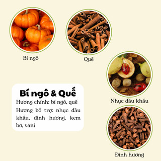 Nến Thơm Phòng Không Khói - Nến Thơm Handmade Hương Bí Ngô & Quế Sáp Thực Vật Lành Tính - Nến Thơm Quà Tặng - Cát Candle