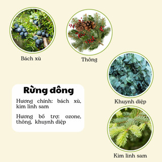 Nến Thơm Phòng Không Khói - Nến Thơm Handmade Hương Rừng Đông Sáp Thực Vật Lành Tính - Nến Thơm Quà Tặng - Cát Candle
