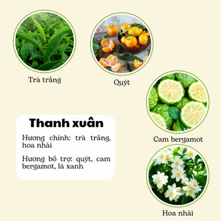 Nến Thơm Phòng Không Khói - Nến Thơm Handmade Hương Thanh Xuân Sáp Thực Vật Lành Tính - Nến Thơm Quà Tặng - Cát Candle