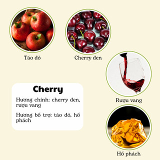 Nến Thơm Phòng Không Khói - Nến Thơm Handmade Hương Cherry Sáp Thực Vật Lành Tính - Nến Thơm Quà Tặng - Cát Candle
