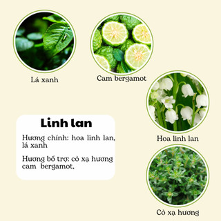 Nến Thơm Phòng Không Khói - Nến Thơm Handmade Hương Hoa Linh Lan Sáp Thực Vật Lành Tính - Nến Thơm Quà Tặng - Cát Candle