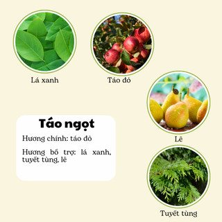 Nến Thơm Phòng Không Khói - Nến Thơm Handmade Hương Táo Ngọt Sáp Thực Vật Lành Tính - Nến Thơm Quà Tặng - Cát Candle