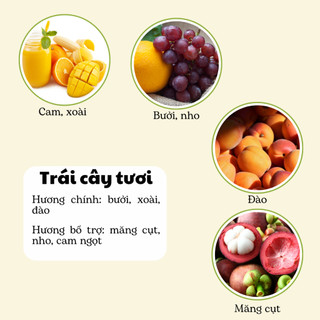 Nến Thơm Phòng Không Khói - Nến Thơm Handmade Hương Trái Cây Sáp Thực Vật Lành Tính - Nến Thơm Quà Tặng - Cát Candle