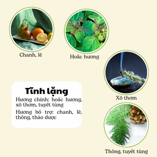 Nến Thơm Phòng Không Khói - Nến Thơm Handmade Hương Tĩnh Lặng Sáp Thực Vật Lành Tính - Nến Thơm Quà Tặng - Cát Candle