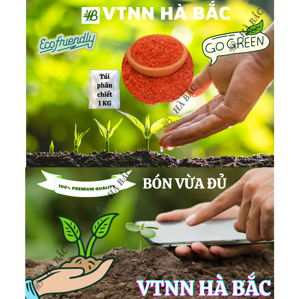 Phân Kali Đỏ PHÚ MỸ Túi 500GR/1KG (bán lẻ)  - Giúp Cây Cho Trái Lớn, Tăng Độ Tươi Bóng Cho Hoa