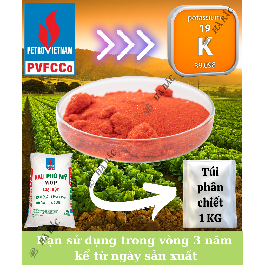 Phân Kali Đỏ PHÚ MỸ Túi 500GR/1KG (bán lẻ)  - Giúp Cây Cho Trái Lớn, Tăng Độ Tươi Bóng Cho Hoa
