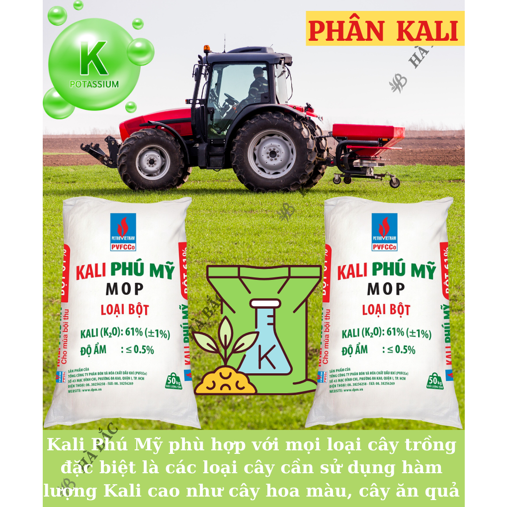 Phân Kali Đỏ PHÚ MỸ Túi 500GR/1KG (bán lẻ)  - Giúp Cây Cho Trái Lớn, Tăng Độ Tươi Bóng Cho Hoa