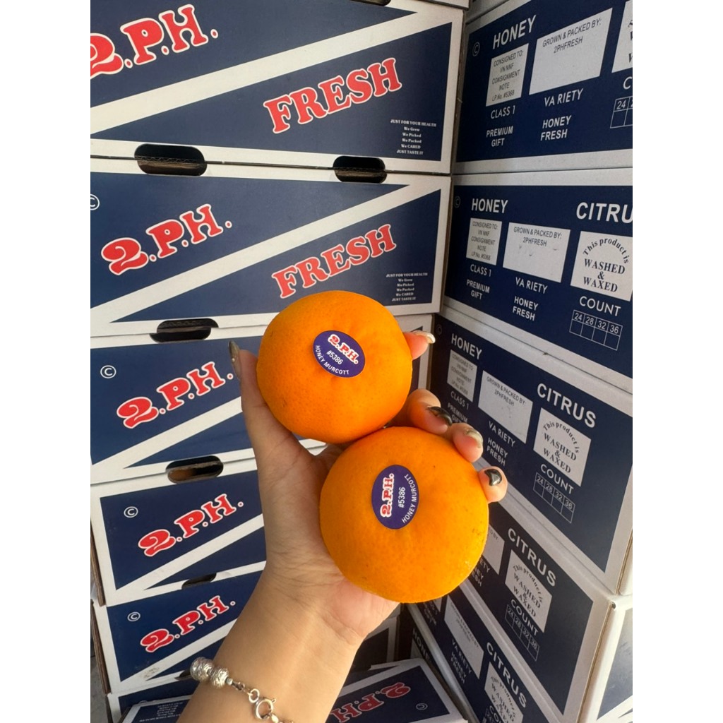 [ JENNY FRUIT ] Quýt Úc vào mùa siu rẻ siu ngọt