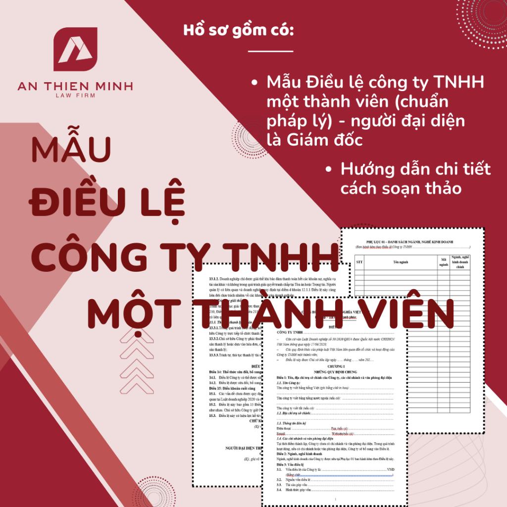 Mẫu Điều lệ Công ty TNHH một thành viên chuẩn pháp lý + hướng dẫn soạn thảo