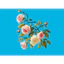 Hình ủi áo-Hình hoa áo ủi -ủi trực tiếp tại nhà bằng bàn ủi-tiện lợi bền đẹp(THEO YÊU CẦU IN BOX SHOP)