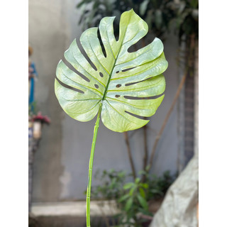 Cành lá rùa ( Lá rách , monstera ) size đại 30cm - Cành lá giả decor