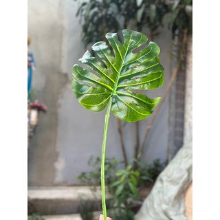 Cành lá rùa ( Lá rách , monstera ) size đại 30cm - Cành lá giả decor