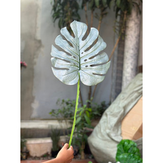 Cành lá rùa ( Lá rách , monstera ) size đại 30cm - Cành lá giả decor