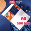 Giấy Vẽ Màu Nước 16 Tờ 300Gsm A3 Chuyên Dụng Hoạ Sĩ Watercolor Paper Finenolo Gouache Acrylic Vẽ Cọ