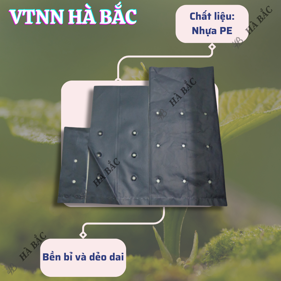 Túi Ươm Cây Giống, Bọc Bầu Ươm NiLon Đen, Đủ Các Kích Thước (5x11, 6x12,...,25x40) - [BÁN LẠNG]