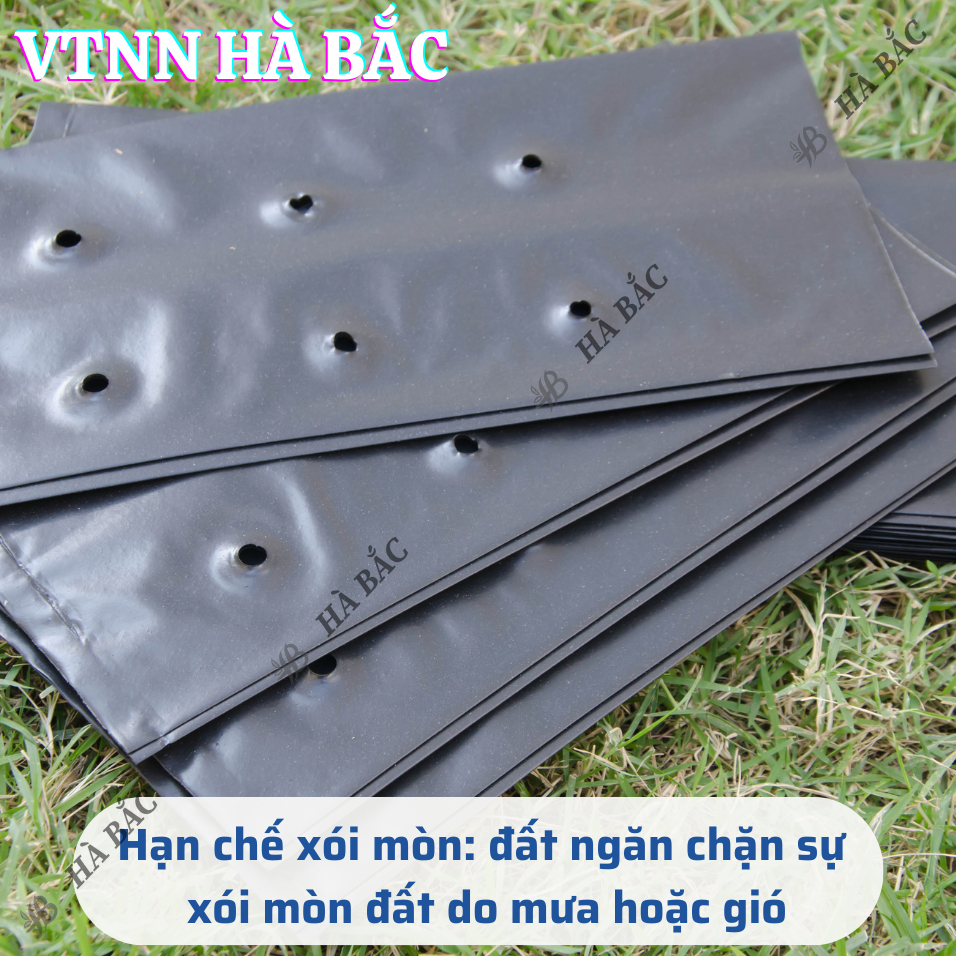 Túi Ươm Cây Giống, Bọc Bầu Ươm NiLon Đen, Đủ Các Kích Thước (5x11, 6x12,...,25x40) - [BÁN LẠNG]