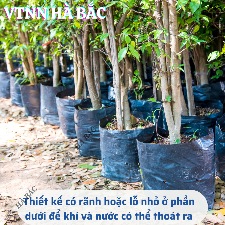 Túi Ươm Cây Giống, Bọc Bầu Ươm NiLon Đen, Đủ Các Kích Thước (5x11, 6x12,...,25x40) - [BÁN LẠNG]