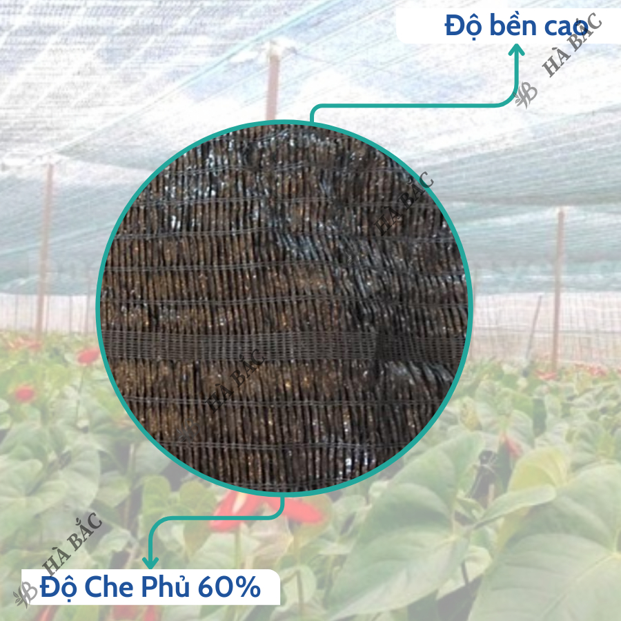 Lưới Che Nắng Thái Lan Khổ 1M, 1M5, 2M, 3M, 4Mét Màu Xanh/Đen Goldbell (Chuông Vàng) Độ Che Phủ 60% - BÁN THEO 1 MÉT TỚI