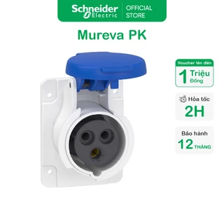 Ổ cắm âm dạng thẳng - 16A - 2P+E - 220V - IP44 - Schneider Electric - PKF16G423