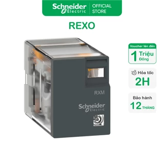 Relay trung gian 5A 2 Poles (8 chân) 24VAC - Schneider Electric - RXM2LB2B7 RXM2LB1B7