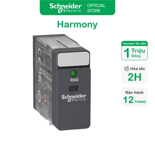 Rơ le cắm 48VAC, 2CO, 5A, có đèn| Relay trung gian RXG Schneider RXG23E7