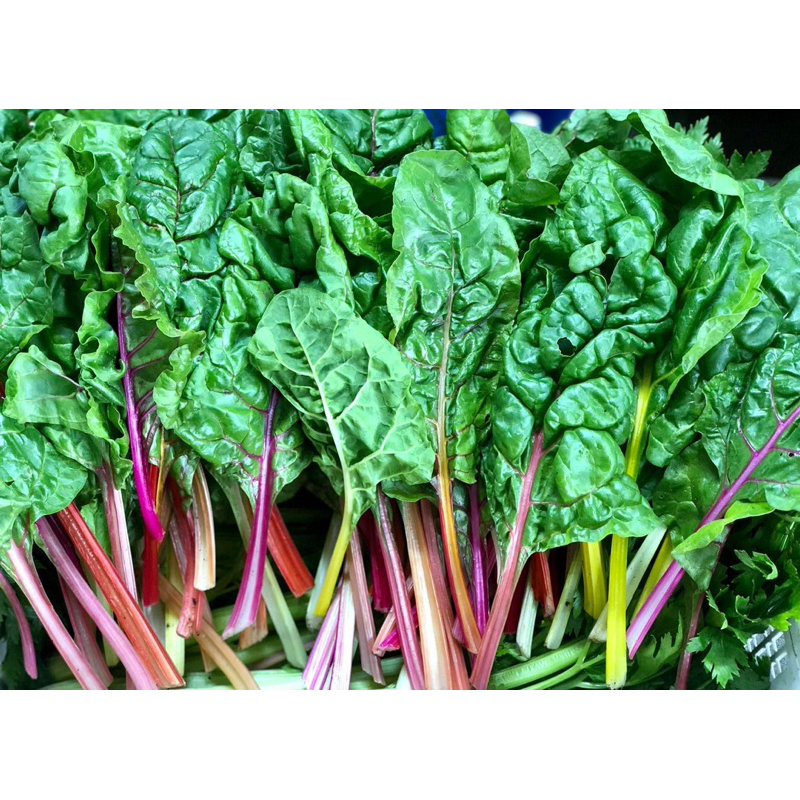 Cải Cầu Vồng/ Swiss chard - 250g ( giao hoả tốc ) | Shopee Việt Nam