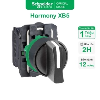 Công tắc xoay - Tự giữ - 2NO - 3 vị trí - Phi 22 - Schneider Electric - XB5AD33