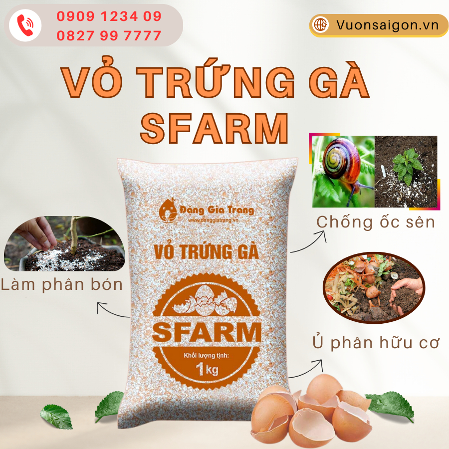 Vỏ Trứng Gà Đặng Gia Trang 1kg (Sfarm) 3