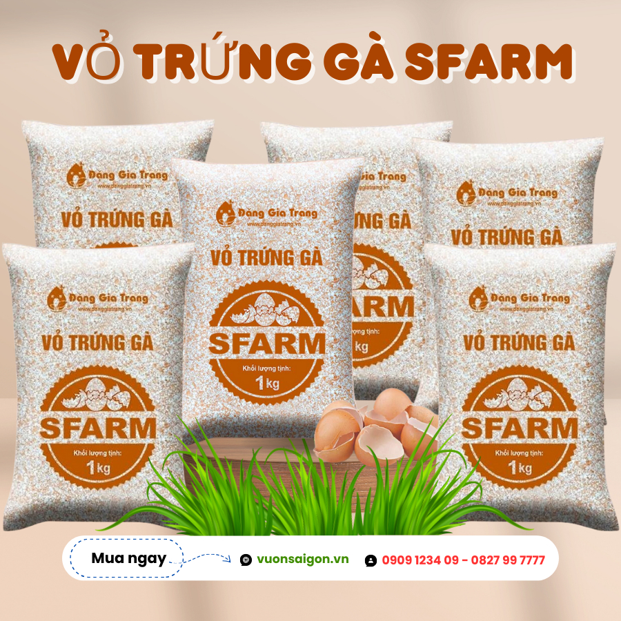Vỏ Trứng Gà Đặng Gia Trang 1kg (Sfarm) 7