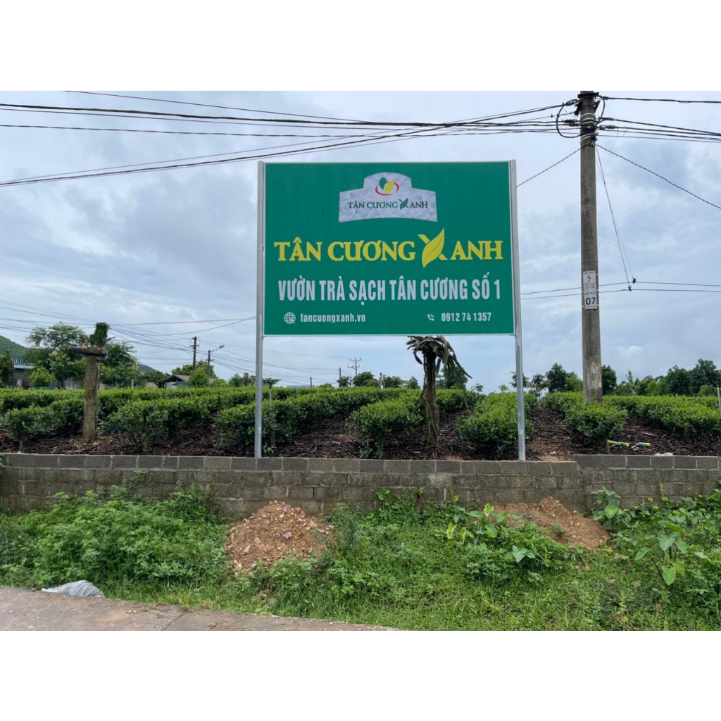 Trà Tân Cương Tước Thiệt-100g