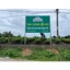 Trà Tân Cương Tước Thiệt 200gram