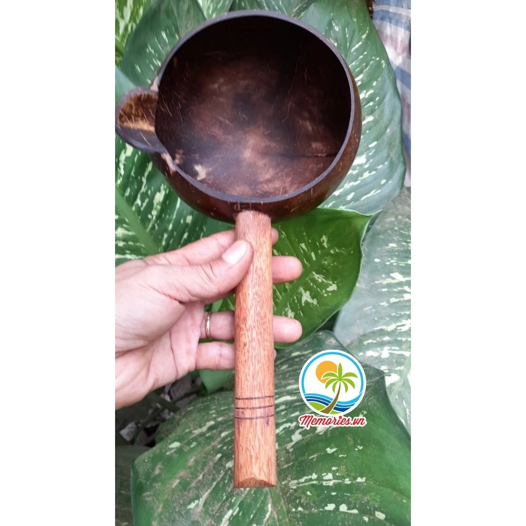 Gáo Dừa Múc Nước, Tưới Cây, Làm Bánh, Gội Đầu Dưỡng Sinh, Spa,  Phụ Kiện Trang Trí, Chụp Hình