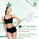 Combo Thanh Lăn Tan Mỡ Cao Lá Rừng Tan Hết Mỡ Thừa Vùng Bắp Đùi, Viên Detox Xổ Mỡ Mộc Trà (Giá sỉ) — ảnh 3