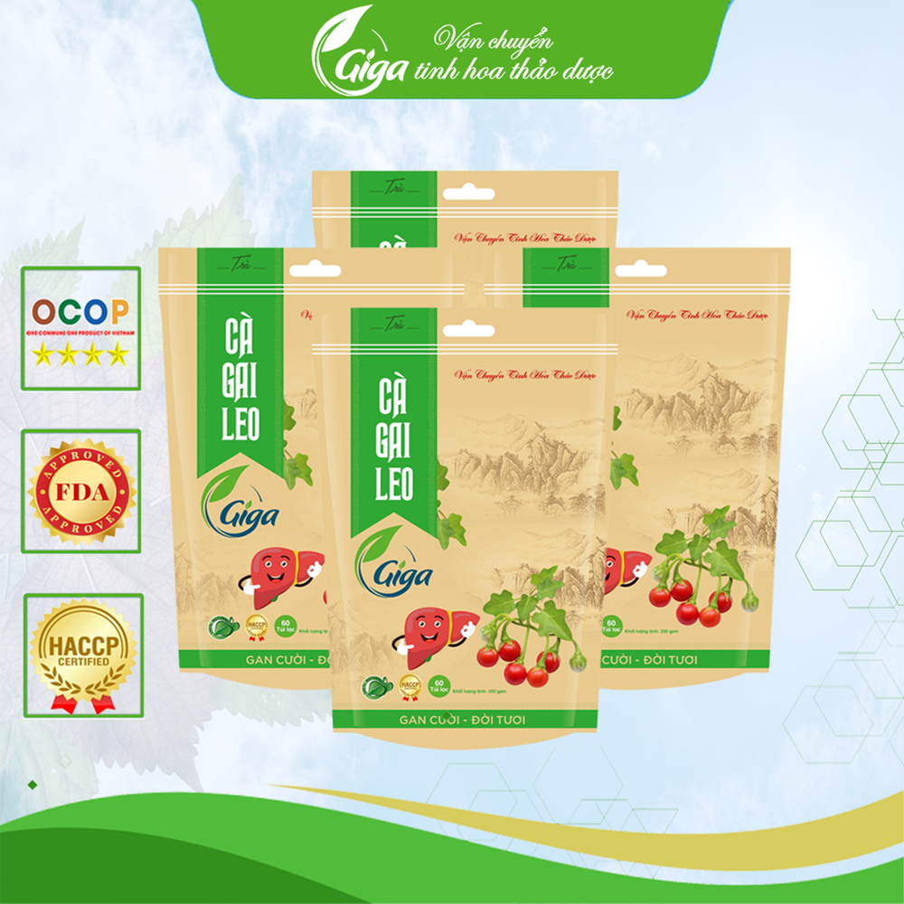 Trà Cà Gai Leo Giga 1KG - 240 Túi Lọc Giúp Bổ Gan, Giải Độc Gan, Hỗ Trợ Chống Viêm Gan, Xơ Gan