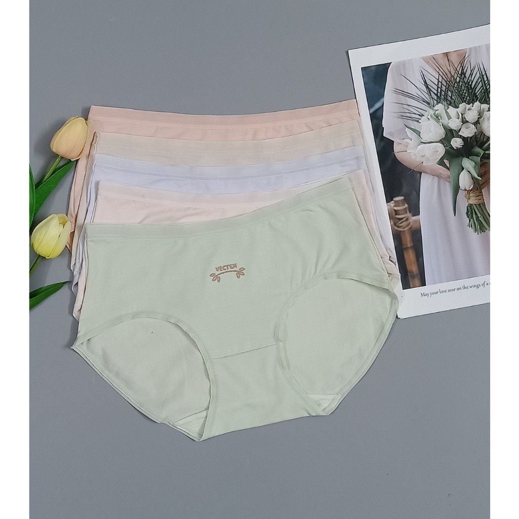 Ảnh Quần lót nữ cotton Vicci cao cấp kháng khuẩn khử mùi thông hơi thoáng khí đường viền mỏng QV.31 2