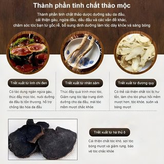 Combo Dầu Gội Xả Nấm Linh Chi Đen Nuôi Dưỡng Tóc Chắc Khỏe Tận Gốc Ngăn Ngừa Gãy Rụng Lấy Lại Màu Tóc