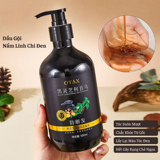 Combo Dầu Gội Xả Nấm Linh Chi Đen Nuôi Dưỡng Tóc Chắc Khỏe Tận Gốc Ngăn Ngừa Gãy Rụng Lấy Lại Màu Tóc