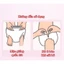 Băng vệ sinh dạng quần Tushie Treats túi 5 cái (size M-L,XL) - Dùng 1 lần, mềm mại, thấm hút, thoải mái và tiện lợi