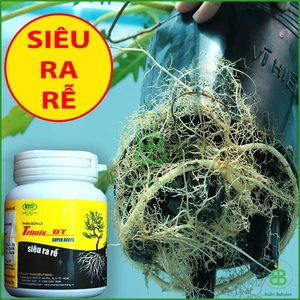 Phân bón lá Siêu Ra Rễ TRIMIX 120g Điền Trang