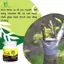 Phân bón lá Siêu Ra Rễ TRIMIX 120g Điền Trang