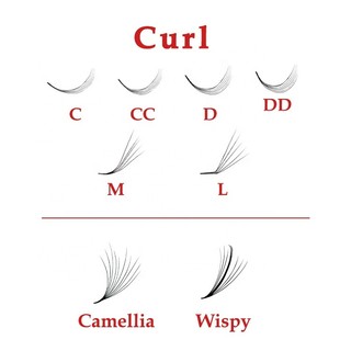Mi fan 5D LASHES SUPPLY độ cong C - CC - D, độ dày 0.05 - 1 hộp 1000 fan - dụng cụ nối mi
