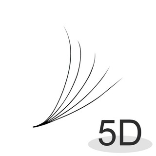 Mi fan 5D LASHES SUPPLY độ cong C - CC - D, độ dày 0.10 - 1 hộp 1000 fan - dụng cụ nối mi